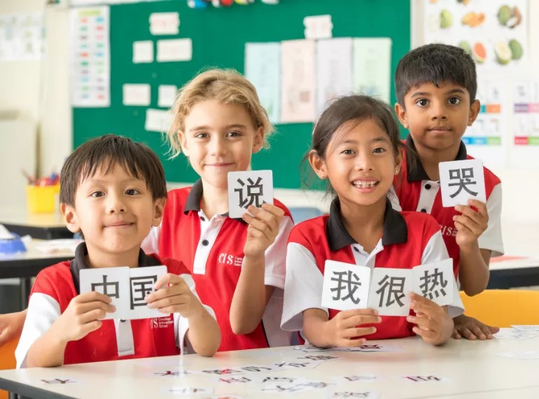新加坡国际学校最新排名一览表（新加坡国际学校排行榜）