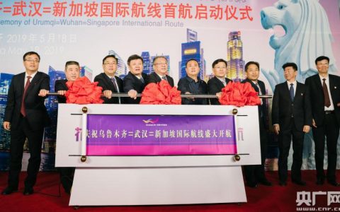 武汉新加坡公司(中远投资(新加坡)公司李满)