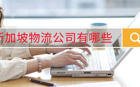 新加坡物流公司有哪些(公司新加坡解决方案)