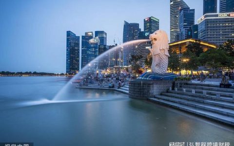 新加坡税比香港更低？注册新加坡公司有优势吗？(新加坡公司注册多少钱经验)