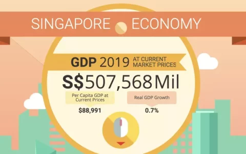 2019年新加坡国内生产总值超5亿新元，为何被“宠爱”