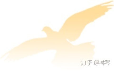 壳牌公司新加坡 超低税率的新加坡公司还有什么好处？
