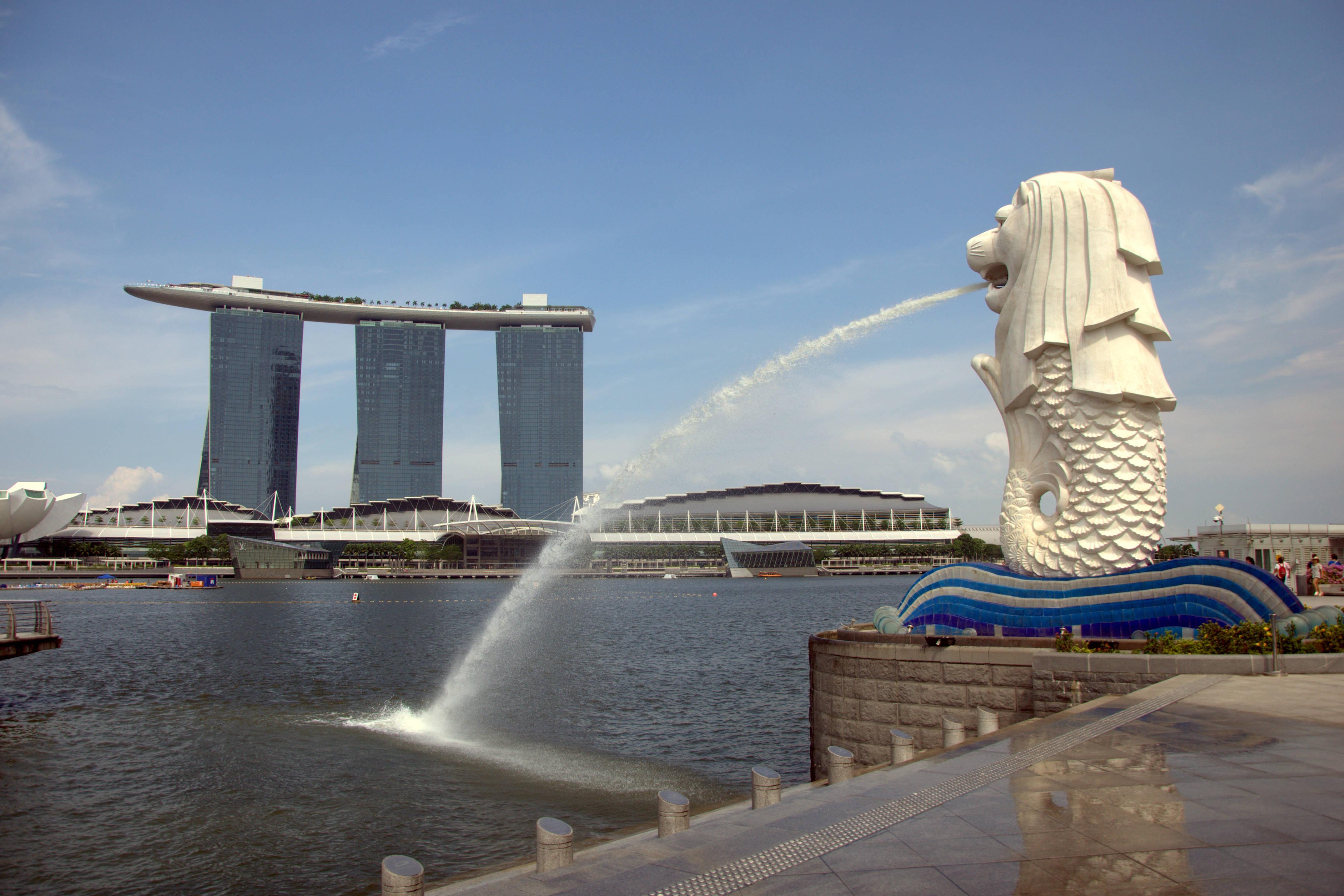 新加坡航空公司 电话 (洲宜旅游)2022新加坡航空公司及近期回国航班，回国流程介绍