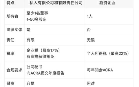 新加坡全能公司 新加坡独资公司注册的要求和优缺点