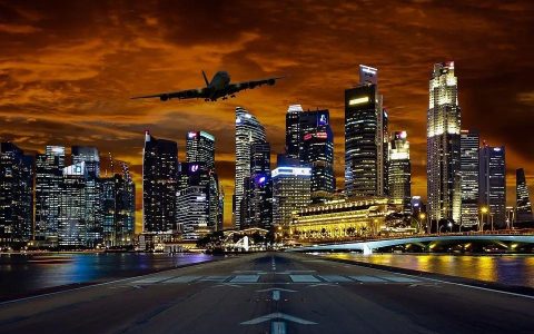 新加坡公司印章 新加坡公司全方位由浅入深知识系列-公司章程篇