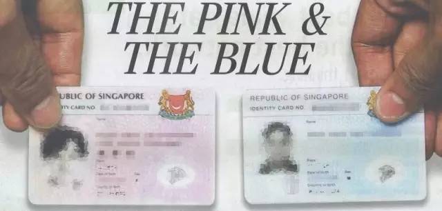 新加坡担保公司注册 新加坡去年有近3万人获永久居民（附最新PR申请攻略）