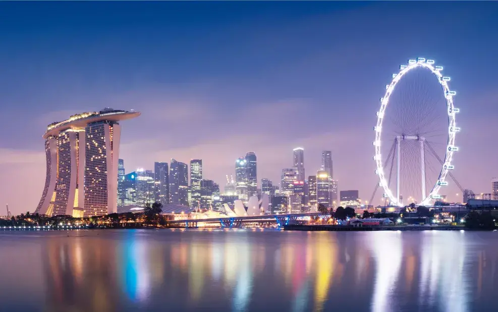 新加坡化工公司 新加坡对外进出口情况及产品分析