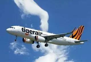 新加坡老虎航空公司 Tiger Airways（走进老虎航空）