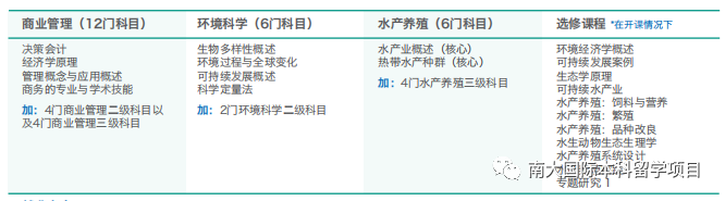 新加坡软件公司排名 詹姆斯库克大学（新加坡校区）