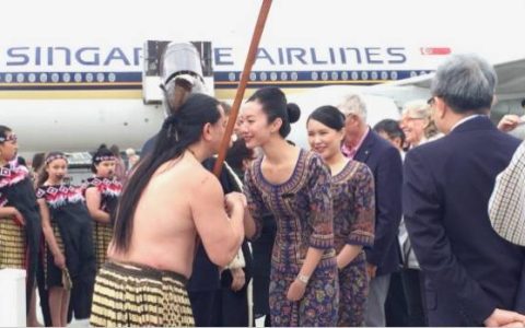 新加坡航空公司标志 新加坡航空与惠灵顿昨日实现“第一触”