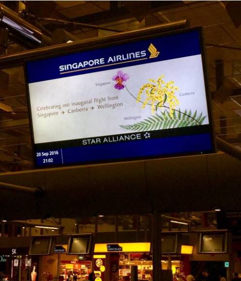 新加坡航空公司标志 新加坡航空与惠灵顿昨日实现“第一触”