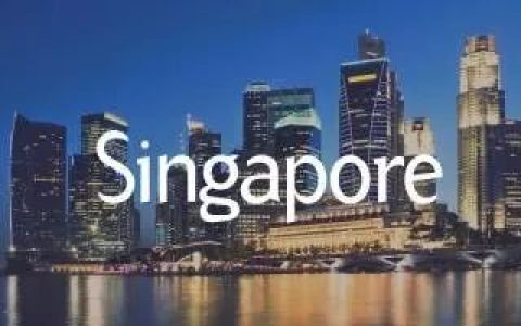 新加坡公司注册号 【干货】新成顾问如何帮客户取得新加坡合法身份