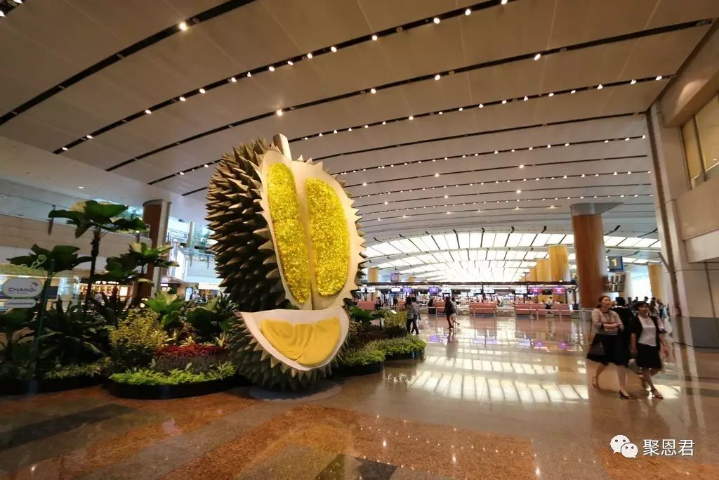 新加坡航空公司安全吗 第143篇《新加坡的航空产业》
