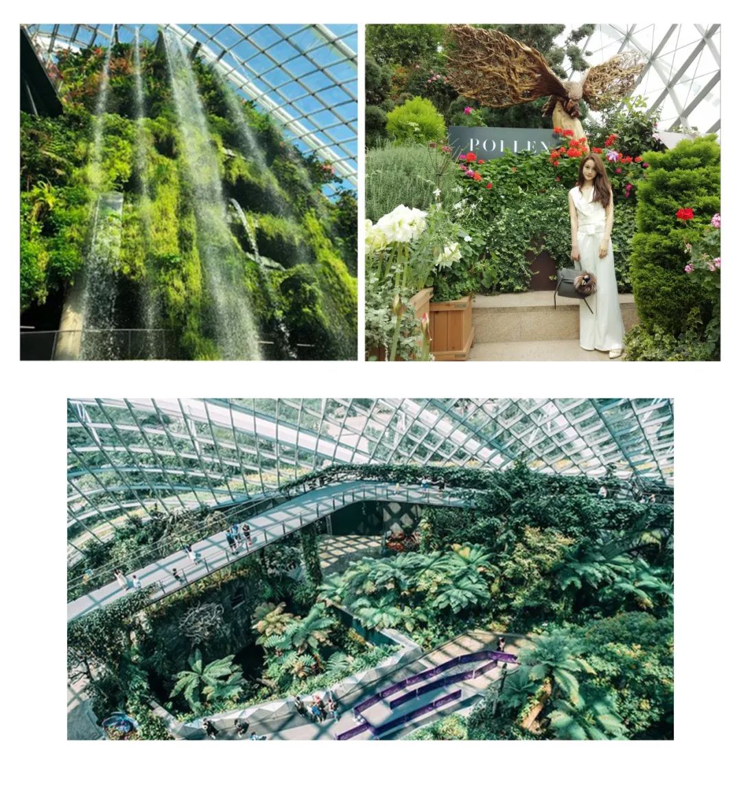 新加坡创意旅游有限公司 新加坡|丢掉旅游书,这些小众体验让你玩的不一样