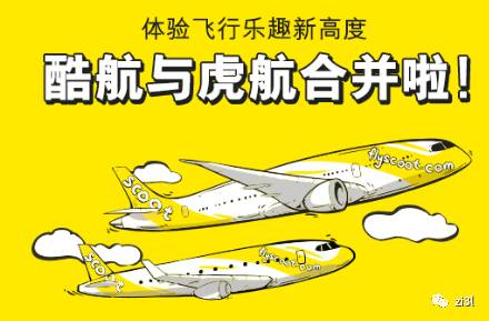 新加坡虎航航空公司怎么样 #机票 | 廉价航空该怎么选？！