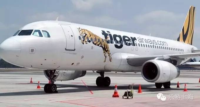 新加坡虎航航空公司怎么样 攻略 ||教你如何找到全球廉价航空机票