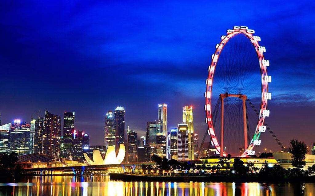 新加坡公司代理 海运新加坡公司的业务范畴有什么｜集运公司的业务范围是什么