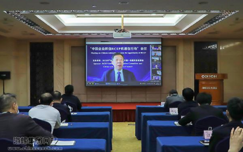 中冶新加坡公司 王诚出席“中国企业抓住RCEP机遇在行动”线上会议并作主旨演讲