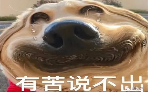 新加坡虾皮公司好吗 谢邀，原地失业！上交大佬刚到新加坡，就被虾皮取消了offer