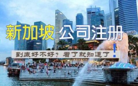 上海新加坡公司年检 只要“身份证明”就能完成“新加坡注册公司”？安全吗？