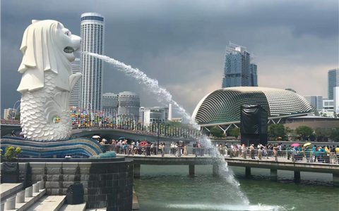 中介办理新加坡公司 国际学生毕业后如何去申请新加坡的EP？