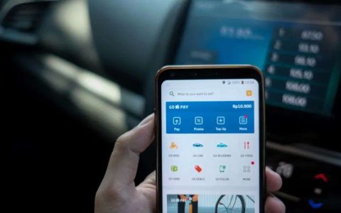 新加坡电信公司收入 东南亚最大的金融科技公司，是怎么搞起来的