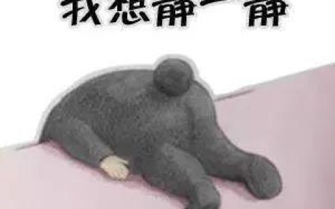 常州新加坡公司年审 车主朋友需注意，年检也有大改革！业务办理更快捷！
