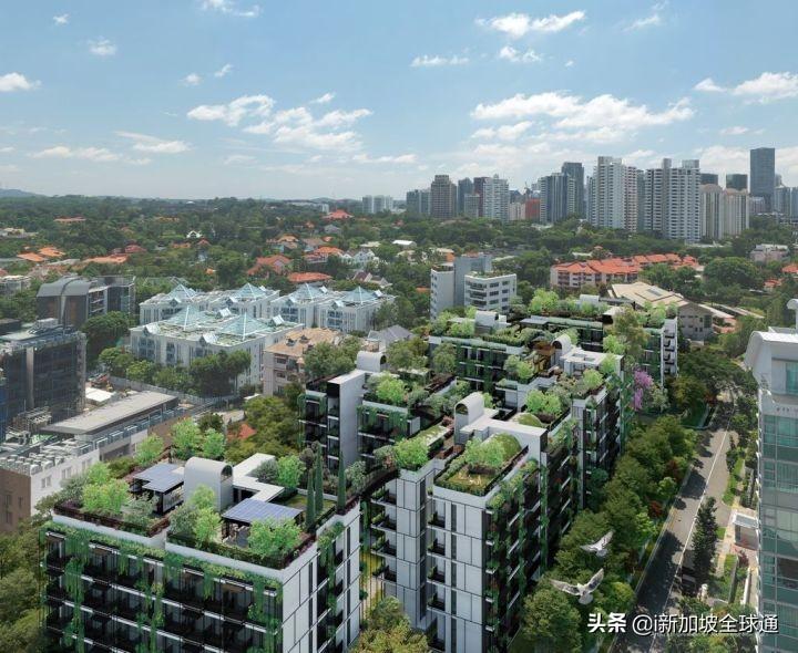 新加坡华荣建筑公司 新加坡建筑业减少碳排放，抓住绿色建筑的未来趋势