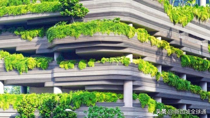 新加坡华荣建筑公司 新加坡建筑业减少碳排放，抓住绿色建筑的未来趋势