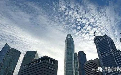 「运营网」香港注册公司与新加坡注册公司的深度对比(新加坡公司年审详解)