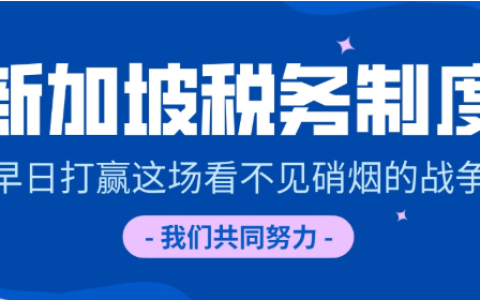 新加坡的审计豁免都有哪些标准和要求？(北京新加坡公司审计)