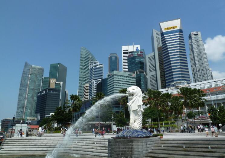 新加坡公司审计，对审计和审计师都有哪些合规要求？(新加坡公司审计目的)