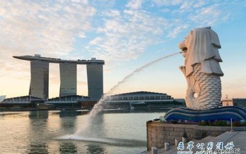 茁有网详解：为何大陆公司奔赴新加坡注册(新加坡离岸公司 移民)
