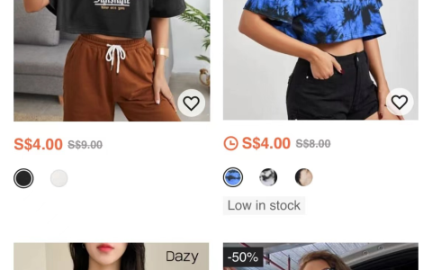 一件T恤只要4新币！总部设在新加坡的SHEIN销售额赶超Zara和H&M(老牌的新加坡公司)
