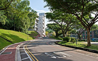 新加坡各阶段留学时间规划，正确管理时间才能让留学之路更加顺畅(申请新加坡公司时间)