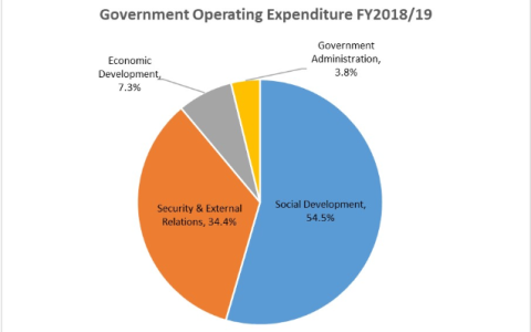 新加坡公司税收政策和财政政策都有哪些特点？(新加坡公司税务指南)
