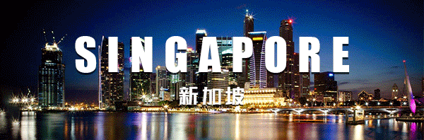 新加坡国际学校申请攻略(新加坡注册公司申报)