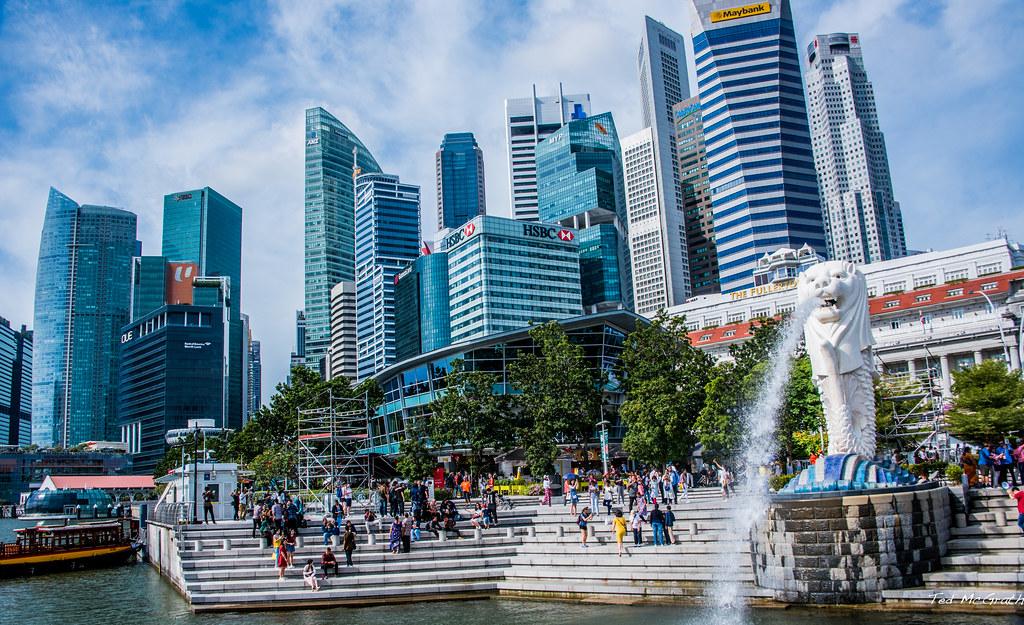 中国搬家到新加坡该如何选择国际搬家公司？(新加坡公司有哪几家)