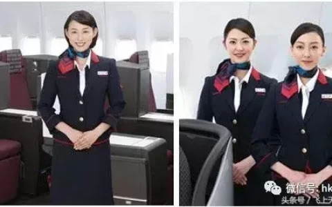 境外17家航空公司空乘薪资大揭秘(新加坡公司国际部招聘)