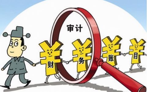 新加坡注册公司：私人股份公司需要做审计吗？(新加坡私人公司怎么申请)