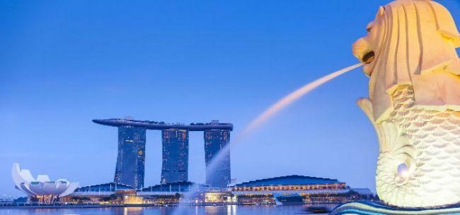陆国际落子新加坡 陆金所计葵生详解运营模式(新加坡三千万的公司)