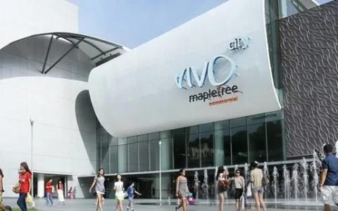其美云考察之VivoCity：新加坡最大购物中心有哪些秘籍？(新加坡最大的雕塑公司)
