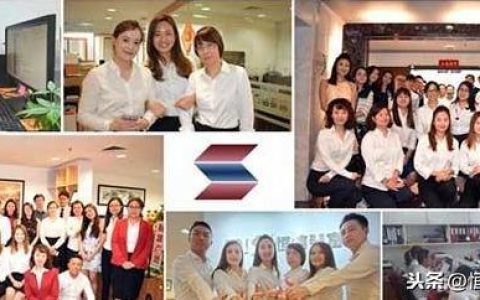 新加坡公司设立及运营管理 - 整合和发展(新加坡公司报税规划流程)