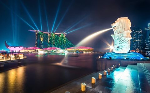 从国内寄快递到新加坡选择哪家国际快递？寄包裹到新加坡推荐平台(新加坡怎样找快递公司)