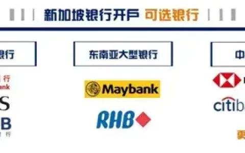 新加坡银行国内怎么视频开户，需要什么资料(新加坡注册公司成功查询)