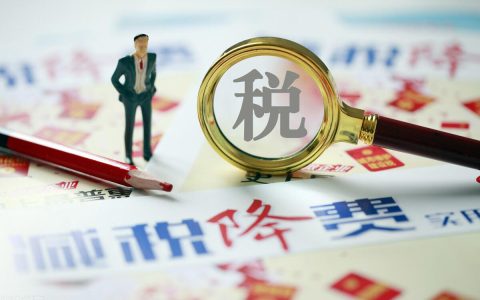新加坡企业所得税申报表格种类(新加坡公司税务攻略网站)