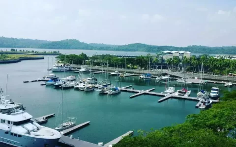 下一个深圳下一个浦东与新加坡一桥之隔 详解新山伊斯干达特区(罗湖新加坡公司哪家好)