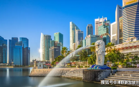 新加坡公司的税务计算哪些成本可以抵扣？(新加坡公司税务表下载)