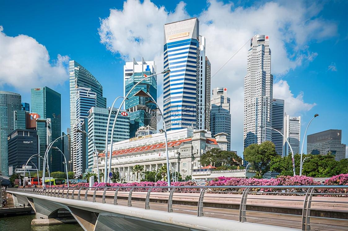 12条流程，帮你梳理新加坡求职全过程(新加坡分子诊断公司招聘)