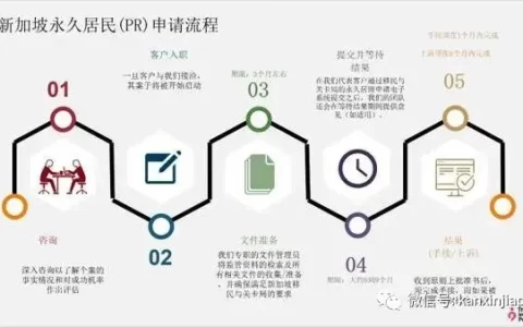 申请新加坡永久居留证有哪些方案？(新加坡公司档案查询网站)